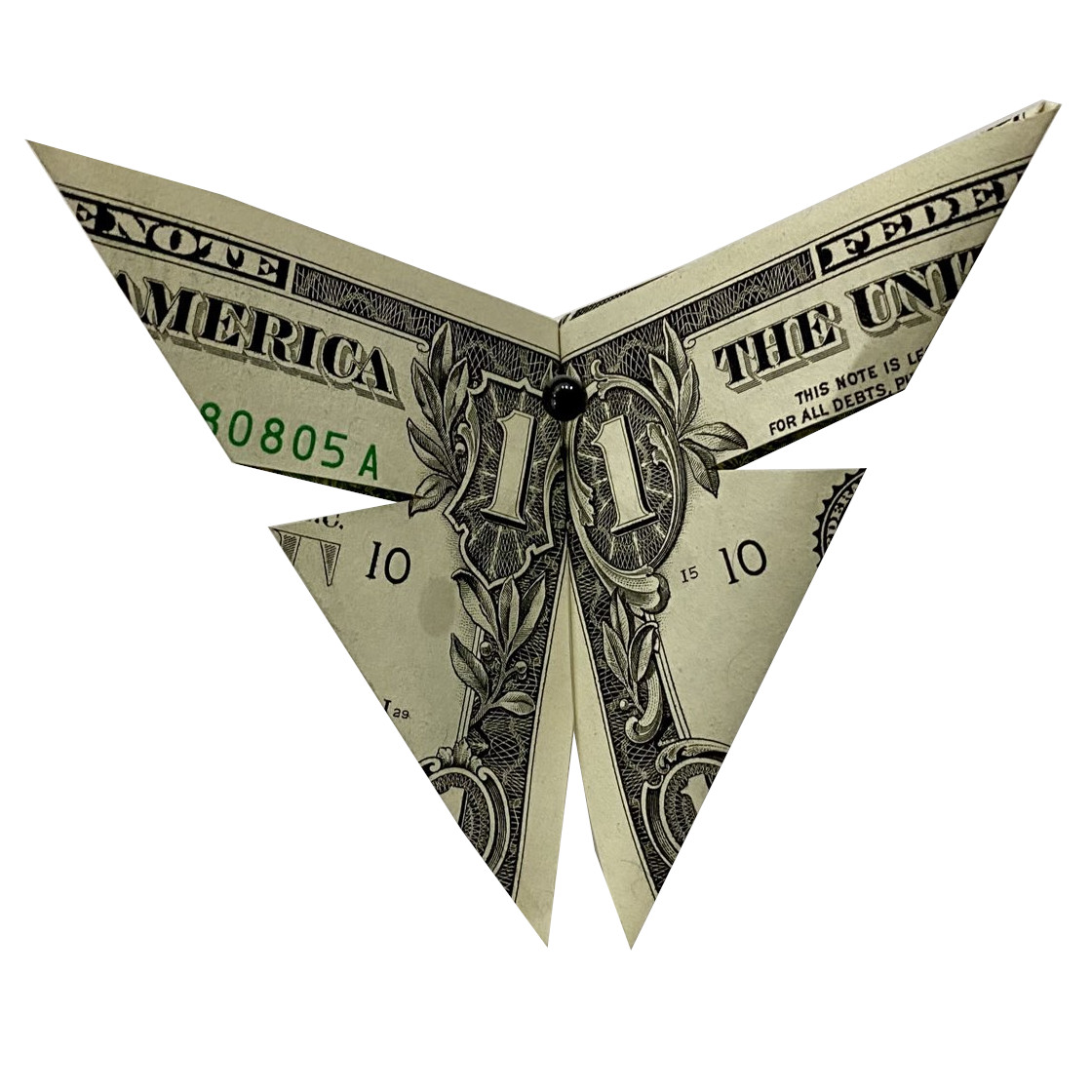 Case Notes Butterfly